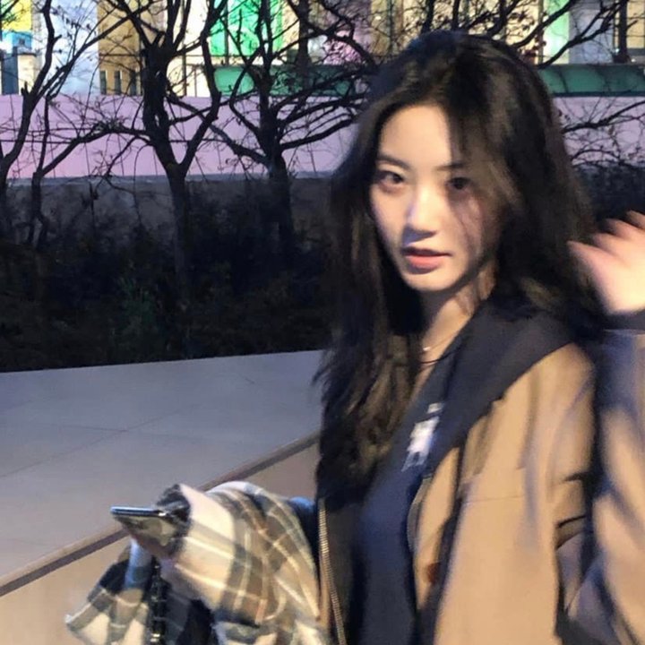 华人侦探陈查理之猩红的线索